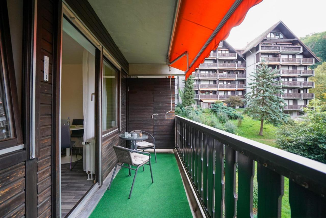 Gaishoell-Wasserfaelle Apartment Schwarzwald ザスバッハヴァルデン エクステリア 写真