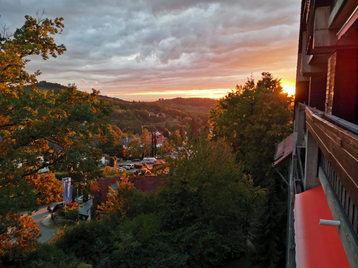 Gaishoell-Wasserfaelle Apartment Schwarzwald ザスバッハヴァルデン エクステリア 写真