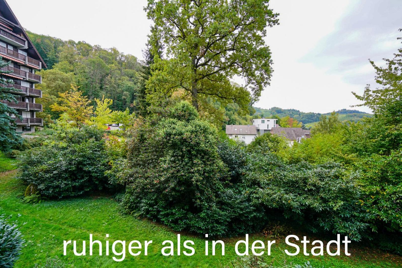 Gaishoell-Wasserfaelle Apartment Schwarzwald ザスバッハヴァルデン エクステリア 写真